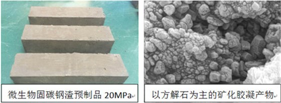 利用微生物水泥制备钢渣建材预制品