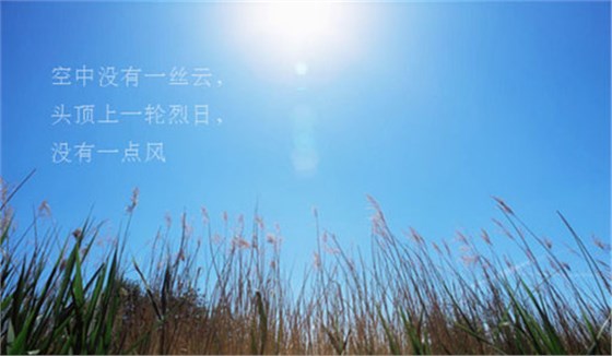 炎热夏季