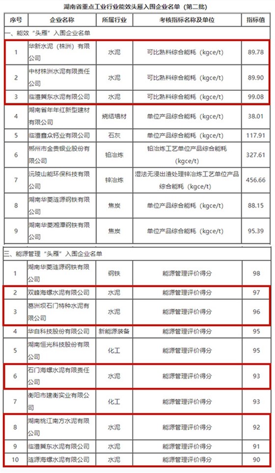 “头雁”企业名单