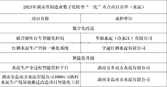 重点项目名单