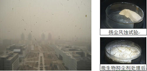 利用微生物水泥可以有效抑制扬尘
