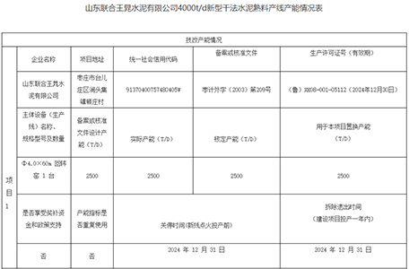 水泥熟料产线产能情况表