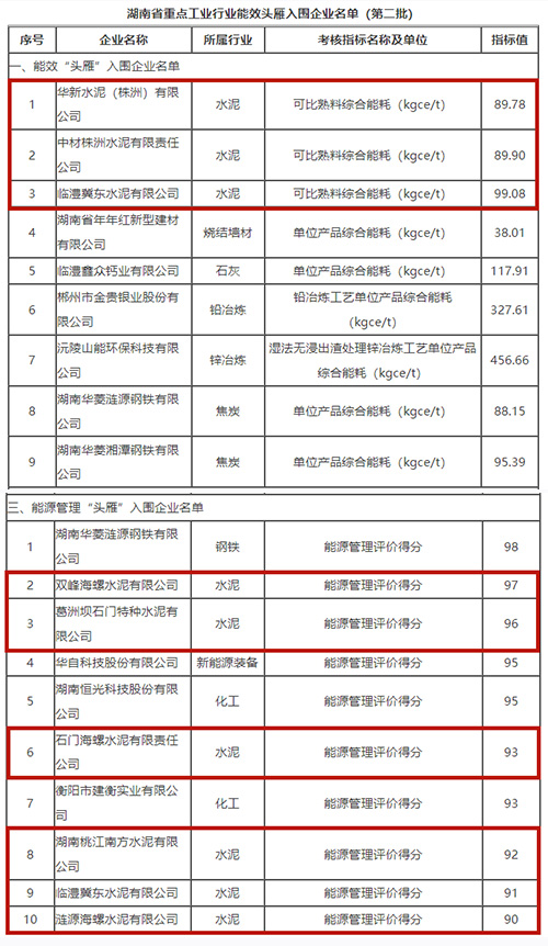 “头雁”企业名单