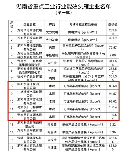 第一批能效“头雁”企业