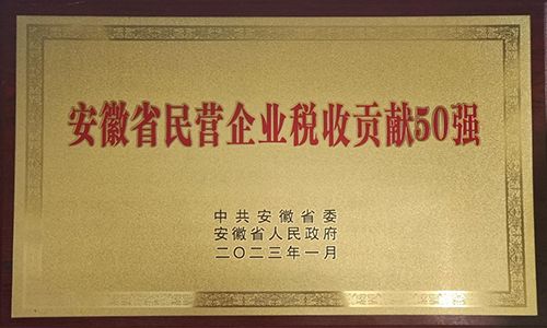 安徽省民营企业税收贡献50强