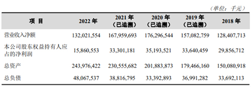 年度业绩报告