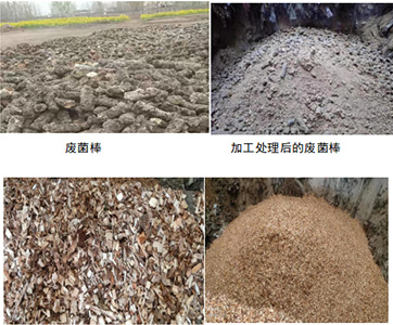 洛阳中联使用生物质燃料替代化石燃料